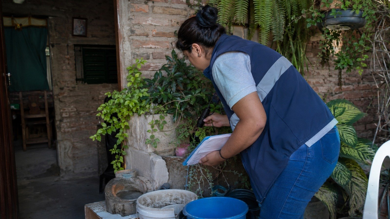 Alerta epidemiológica: el NOA concentra el 96% de los casos de chikungunya y refuerzan la vigilancia en el norte salteño
