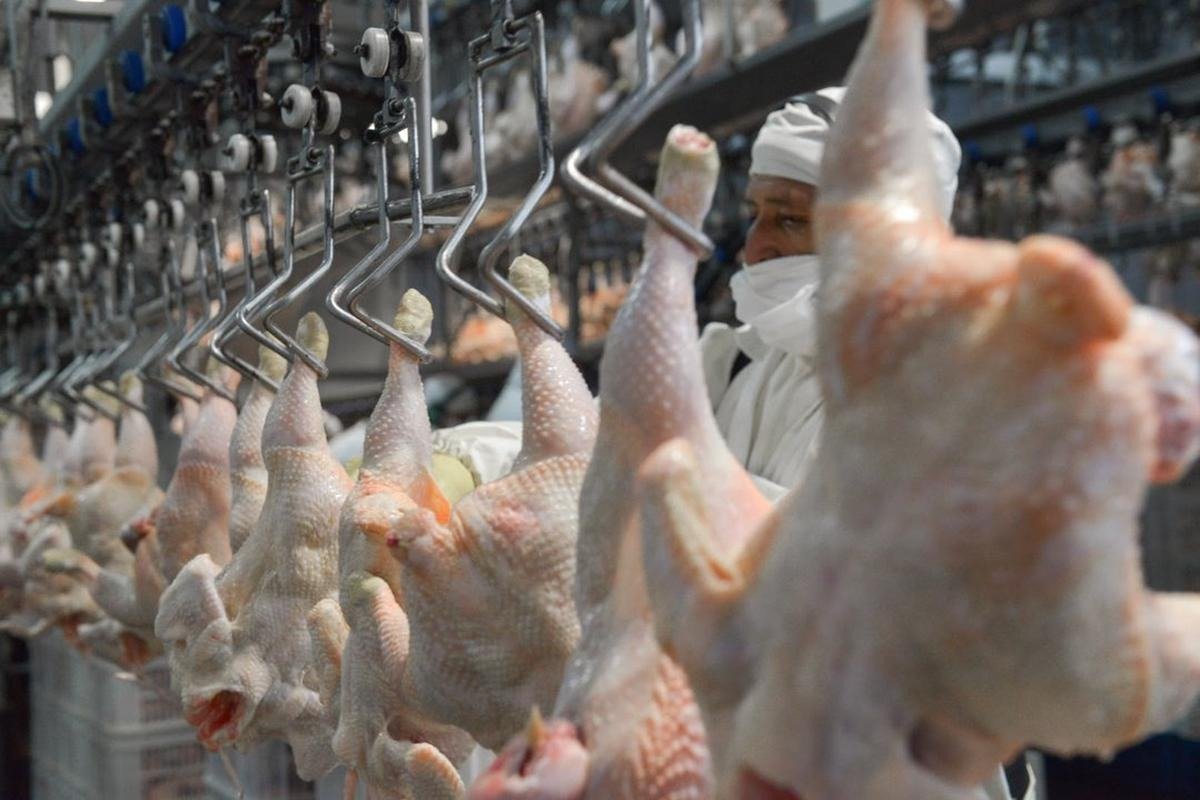 Cambios en la mesa salteña: la sustitución de carne vacuna por pollo expone la presión sobre la canasta familiar