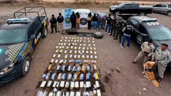 Frontera y seguridad: la Policía de Salta incautó más de 190 kilos de cocaína y desarticuló una red narco