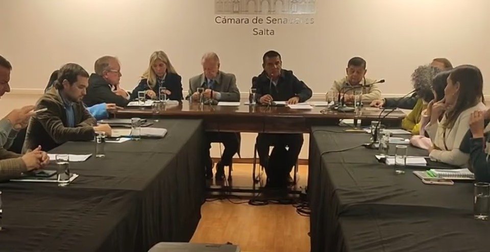 Debate legislativo: el Senado de Salta avanza con proyectos para sancionar el maltrato animal y promover la tenencia responsable